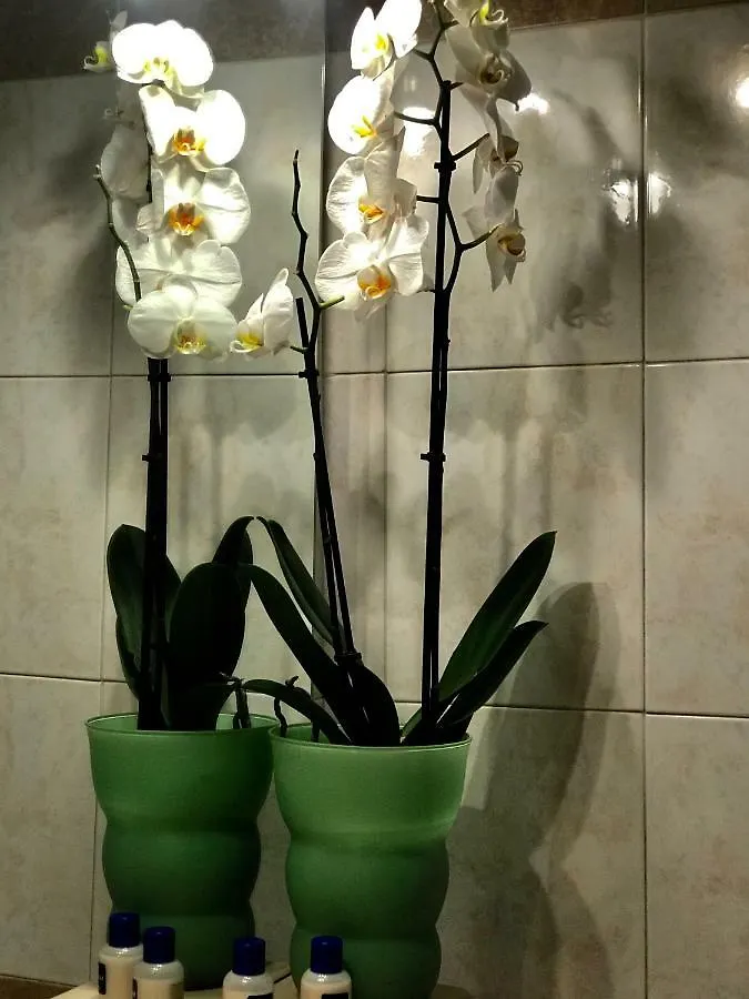 Appartamento Cute Flat - Best Price - Wi Fi - Ac - Tv Firenze